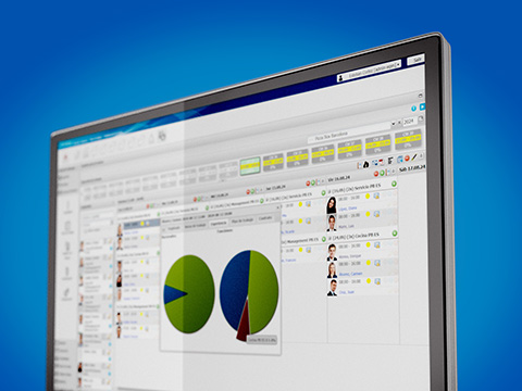 Experiencia del empleado Gráfico circular de la experiencia del empleado
